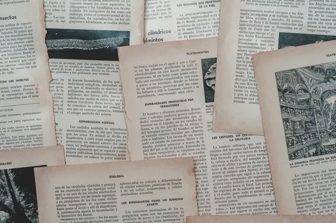 Áurea Media 7